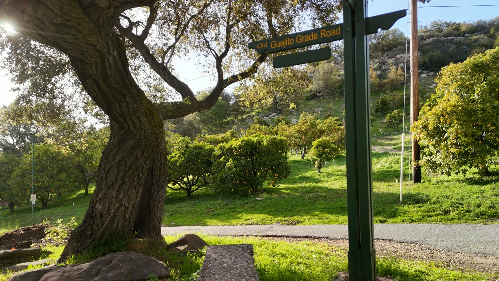Entrance Sign