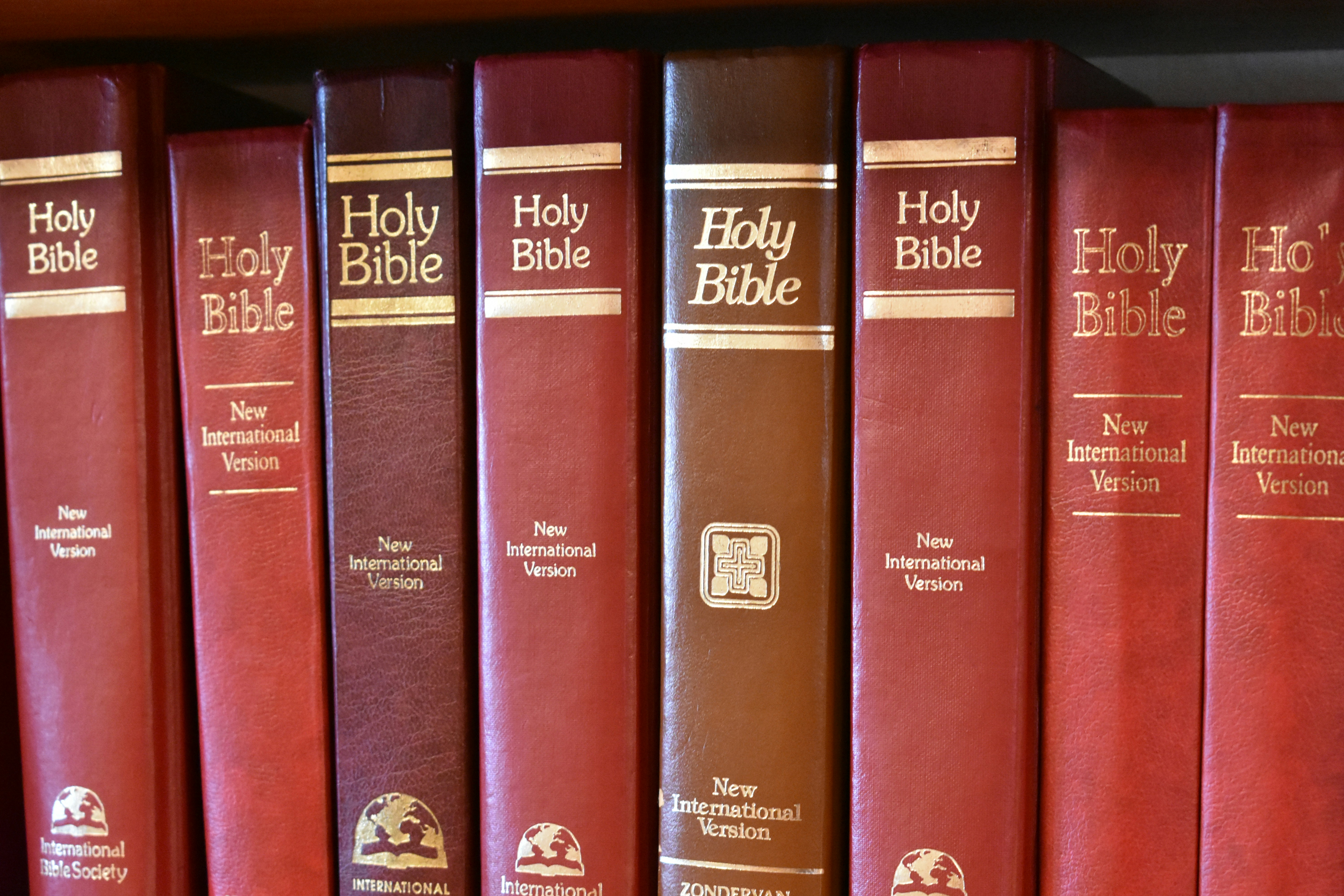 Bibles on a shelf in the guest library